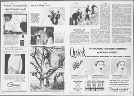 The Sudbury Star Final_1955_10_08_W18.pdf